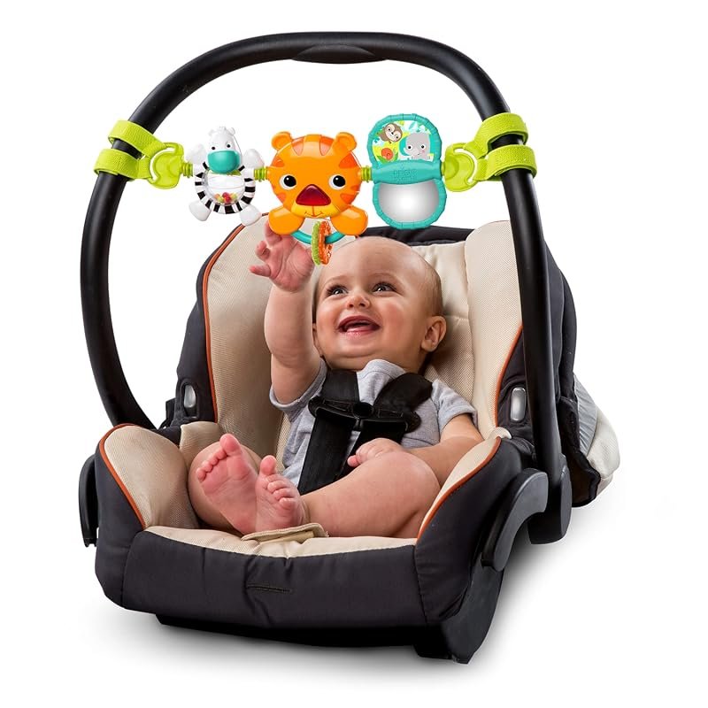 Bright Starts Musical Carrier Toy