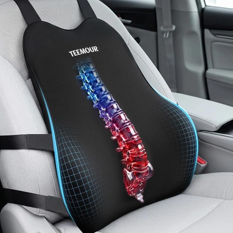 Teemour Lumbar Support