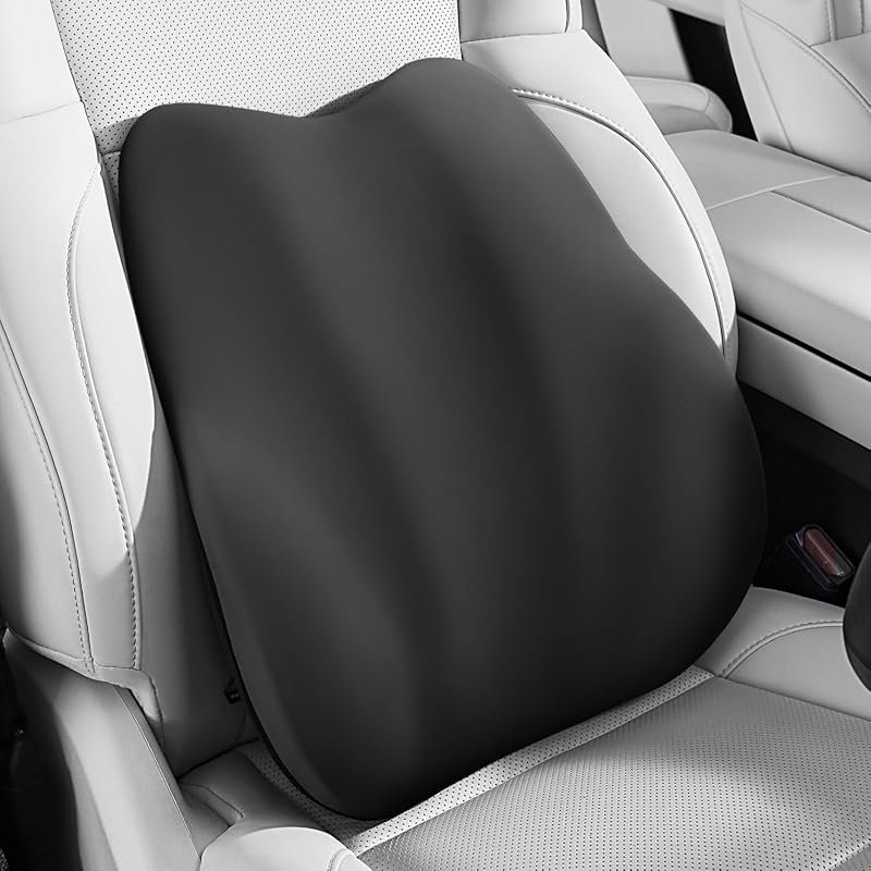 BEBAS Lumbar Support
