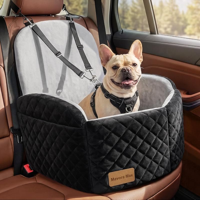 Elevated Dog Car Seat for Small to Medium Pets, Memory Foam Booster Be